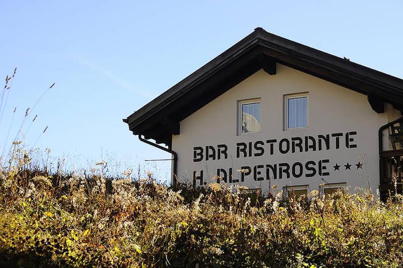 Hotel Alpenrose Passo Rolle Ngoại thất bức ảnh